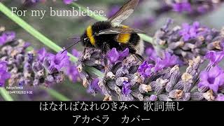 Cover「はなればなれの君へ」Belle（Japanese ver）For my bumblebeesing a capellano mix [upl. by Buller728]