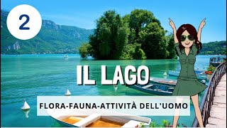 🌅 IL LAGO  episodio 2  flora fauna attività delluomo [upl. by Namra]