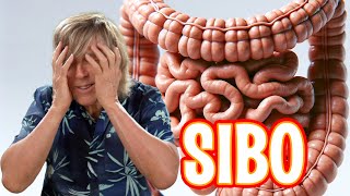 SIBO bloating gallstones kidney stones connection [upl. by Nahgiem]