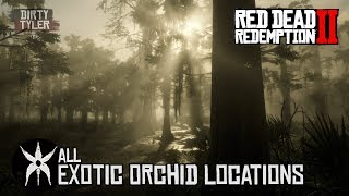 RDR2 All Exotic Orchid Locations For Exotics Quest in Red Dead Redemption 2 [upl. by Washington627]