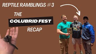 Reptile Ramblings 3 Colubrid Fest Recap [upl. by Celestina776]