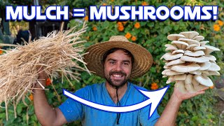 3 Ways YOU Can Grow Mushrooms In The Garden [upl. by Naibaf]