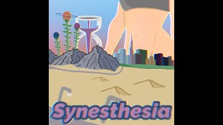 Synesthesia [upl. by Enrica]