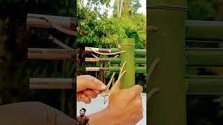 E Bamboo Creations with 3 arrow bamboo Slingshots DIY [upl. by Idaline]