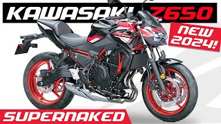 All New KAWASAKI Z650  2024 Specs [upl. by Dupaix256]