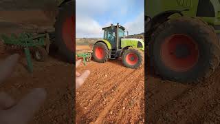 🚜🚜🌾Claas Ares 6375  Labrando Plantón Olivo plantas agricultura claas olivo [upl. by Anauqat]