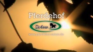 Pferdehof Zislow Reiten in MecklenburgVorpommern [upl. by Renwick261]