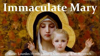 Immaculate Mary  Lourdes Hymn  Choir with Lyrics  5 Verses  Catholic Hymn  Sunday 7pm Choir [upl. by Reisinger]