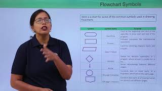 Software Flowchart [upl. by Dygert]