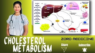 Cholesterol Metabolism BiochemistrySinhala medium [upl. by Nnahgem]