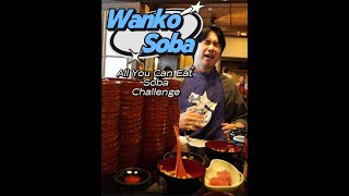 Wanko Soba in Morioka city Iwate Prefecture japanfood wankosoba morioka iwate [upl. by Rramahs]