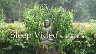 Summer Rain  Sleep Video  60mins Nature Sound  Relaxation amp Restful Sleep [upl. by Assilen]