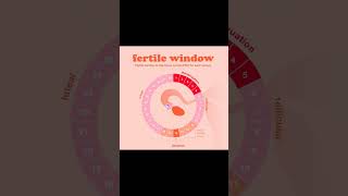 What is Fertile Window Or Time fertilewindow pregnancy pregnancyjourney selfcare [upl. by Peder]