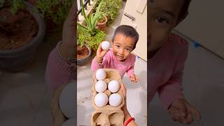 Egg curry shortsfeed odia cooking food minivlog [upl. by Anilra490]