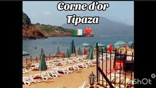 La corne dor Tipaza Algérie ♥️🇩🇿🇩🇿 [upl. by Fedak]