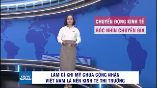 🔔Làm gì khi Mỹ chưa công nhận Việt Nam là nền kinh tế thị trường [upl. by Tobie153]