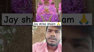 Jay shree shyam 🙏💯shorts viralsongs videos [upl. by Ilario222]