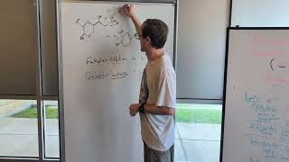 Nucleophile and Electrophile Substitutions [upl. by Benoite694]