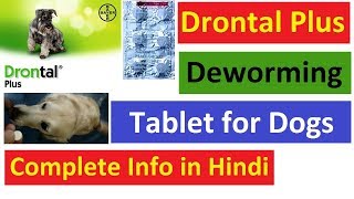 Drontal Plus Deworming Tablet for Dog in Hindi [upl. by Butterworth]