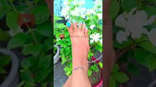 Beautiful feet and soothing ASMR massage women soles Foot Poses  Feet Beauty  Relaxation [upl. by Tsnre533]