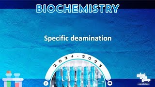 L28 Protein metabolism Transamination transdeamination and methods of deamination Biochemistry [upl. by Heringer]