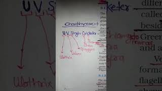 Chlorophyceaemineralnutritionshorttrickneetintermediatestudent [upl. by Oicangi]