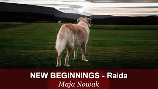 RAIDA  New Beginnings  von Maja Nowak [upl. by Bryner]