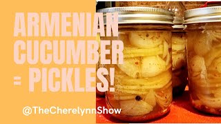 PICKLE Armenian cucumbers with me LIVE [upl. by Fancie544]