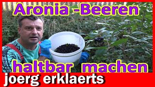 ARONIABEEREN haltbar machen Aronia Beeren länger haltbar machen ganz einfach DIY Tutorial No 411 [upl. by Fleeman]