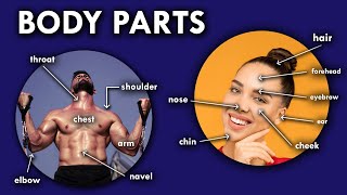 Body Parts Vocabulary [upl. by Carole37]