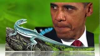 Meet Obamadon the Lizard Name for the President [upl. by Erbas448]