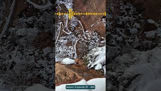 S08  Episode 05  Britt Clip Zion angelslanding hike [upl. by Aniuqal]