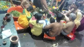 Grishneshwar Jyotirlinga Temple Live Stream [upl. by Nedarb]