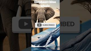 Elephantblue whale hybrid image fusion shorts animals shorts hybrids [upl. by Marsland]