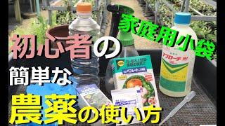 【家庭用農薬の使い方】農薬を使う前に注意すること、実際の作り方、使い方【万年青の豊明園】【How to make a Germicide for OMOTO】 [upl. by Risser]