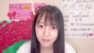 20240804 西原悠桜 Showroom 配信（Nishihara Yura Showroom stream） [upl. by Astrix]