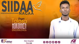 Tolasa Mekonen Siidaa Nagaa amazing song farfaana AFAAN OROMOO HAARA 2014 [upl. by Gati]