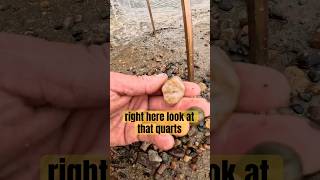 PROSPECTING FOR GOLD WITH A HIGHBANKER gold prospecting shorts youtubeshorts [upl. by Amaryllis]