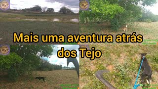 Mais uma aventura atrás dos Tejo 🙏💥 [upl. by Abelard461]