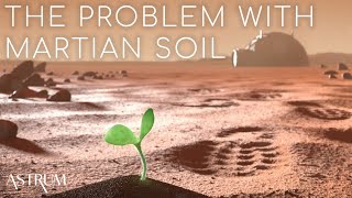 The Real Problem with Growing Plants in Lunar and Martian Soil [upl. by Petulia536]