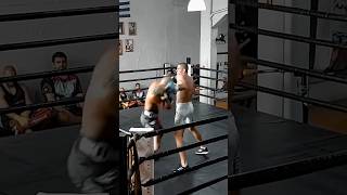 Boxing Sparring Alex Pereira [upl. by Nirrek]