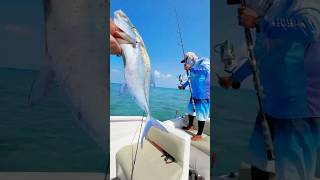 POV Fishing shorts shortsvideo shortsfeed fishing fish [upl. by Yole]