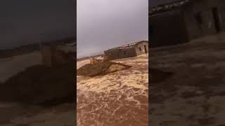 Floods in the Saharawi refugee camp of Dakhla 2024 [upl. by Acirrej]