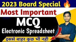 Electronic Spreadsheet Most Important MCQ Class 10  Unit 4 VVI MCQ [upl. by Alidus]