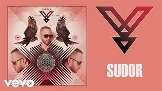 Yandel  Sudor Audio [upl. by Ykvir]