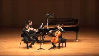 Mendelssohn Piano Trio No1 in D Minor Op49 멘델스존 피아노 트리오 1번 라단조 작품 49  The Felix Trio 더 펠릭스 트리오 [upl. by Nathanson]