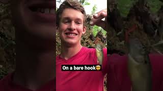 Bare hook fish fishing shorts challenge [upl. by Bolen]