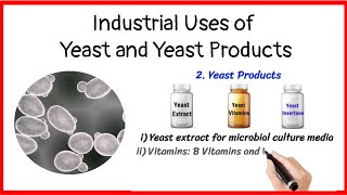 Industrial uses of yeast and yeast products [upl. by Egidius146]