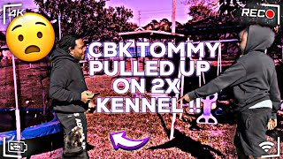 CBK TOMMY PULLED UP ON 2X KENNEL [upl. by Sylvie]