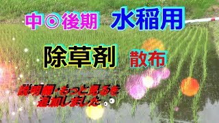 ヒエ専用水稲除草剤散布 クリンチャー粒剤 [upl. by Norted]